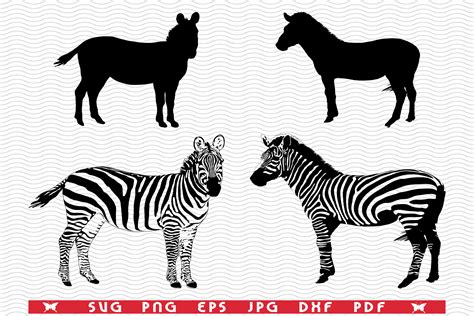 Download 752+ Zebra SVG Free Silhouette
